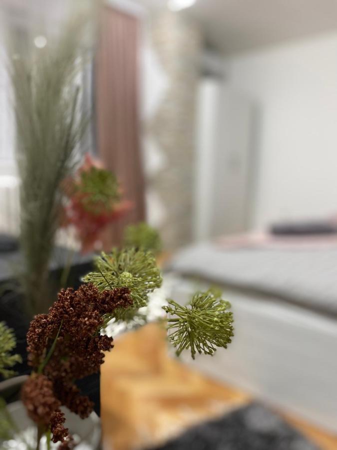 Apartman Bonaca Ni Dış mekan fotoğraf