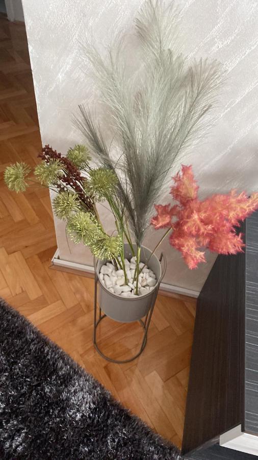 Apartman Bonaca Ni Dış mekan fotoğraf